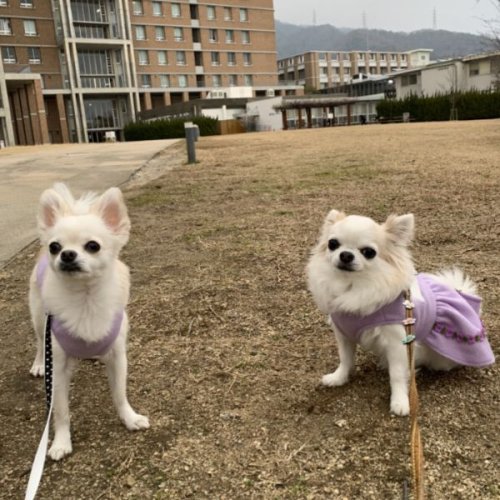 久しぶりの神戸大学