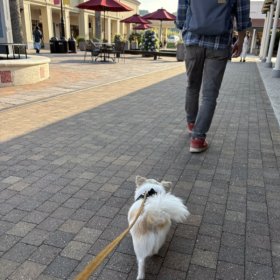アウトレットへ