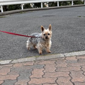 マンションのお友達