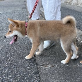 初めまして