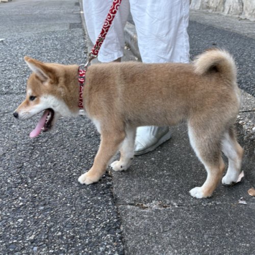 初めまして