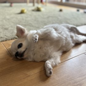 クーラーの効いたお部屋