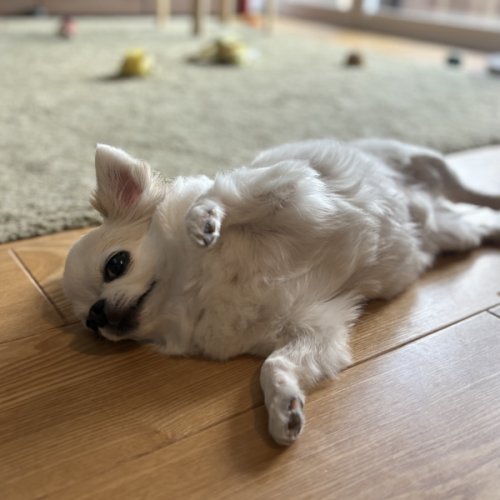 クーラーの効いたお部屋