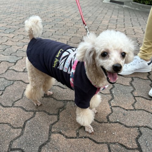 お友達のイトちゃん