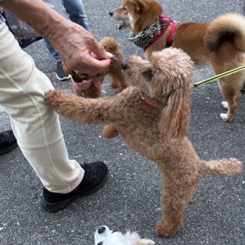 楽しいおやつタイム