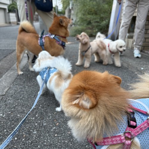 大好きなお友達
