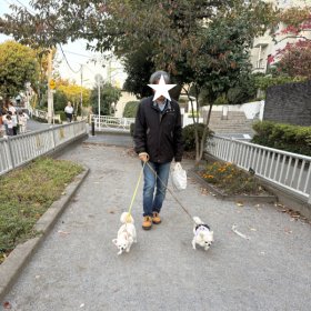 自由が丘の緑道をおっ散歩