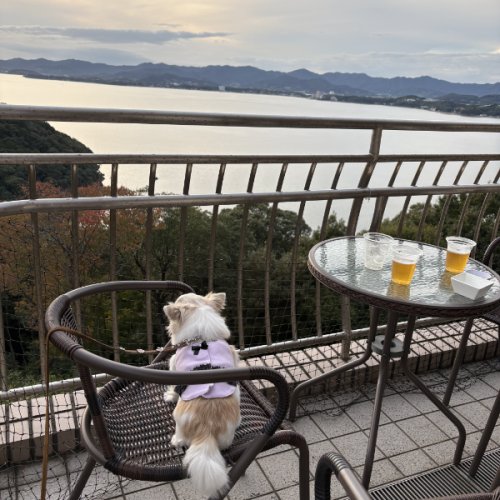 浜名湖を眺める　りく