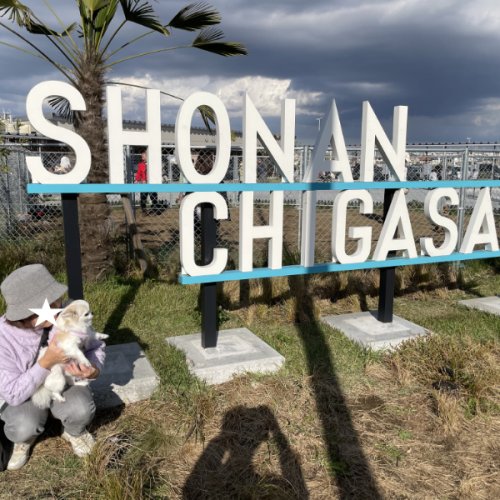 湘南　茅ヶ崎サービスエリア