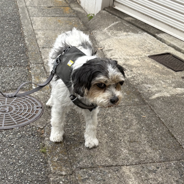 初めまして！