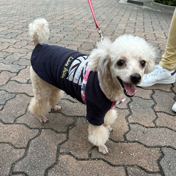 お友達のイトちゃん