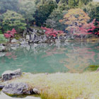 紅葉がきれいな京都！