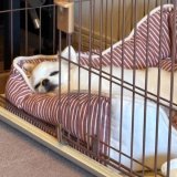 お疲れ様