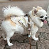 暑いね〜