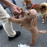 楽しいおやつタイム