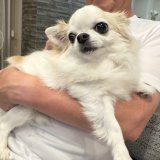 パパに抱っこされました♪