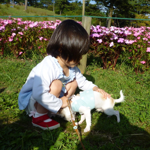 休日の六甲山ドライブ