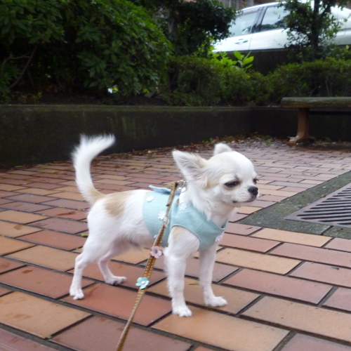 台風一過