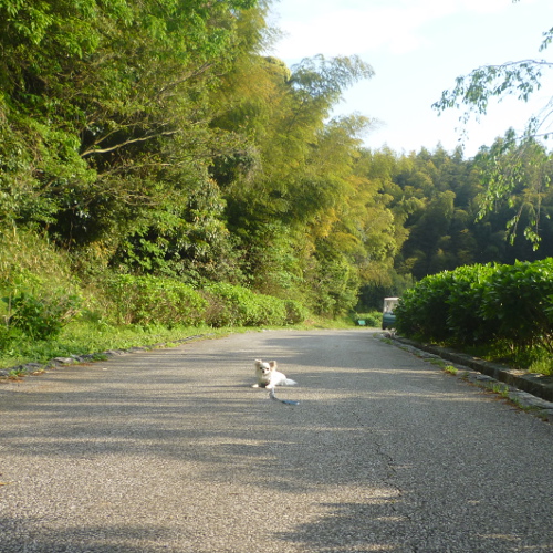 淡路島国営公園　その４