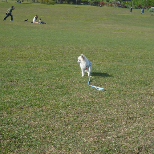 淡路島国営公園　その２