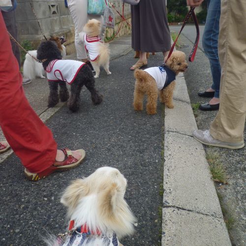 沢山のお友達に会えました。