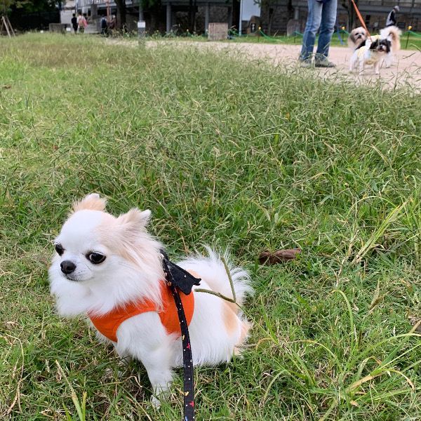 久しぶりの神戸大学