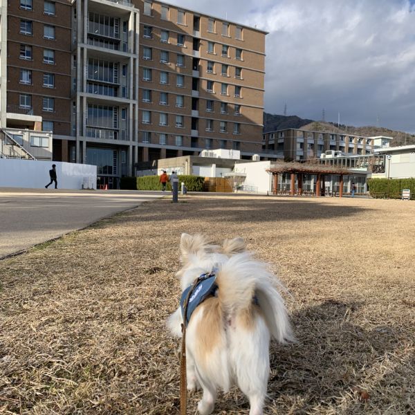 久しぶりの神戸大学