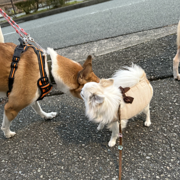 久しぶりのお友達