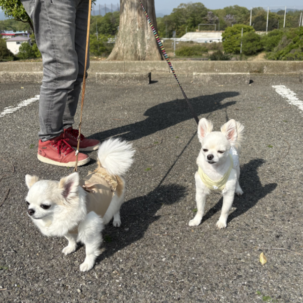 フルーツフラワーパークへ