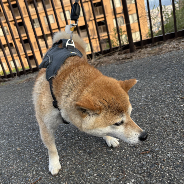また会えたね♪