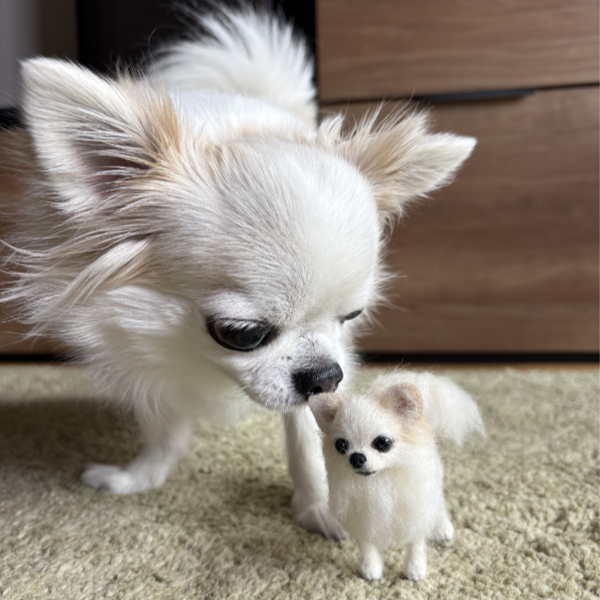 りくのそっくりさん