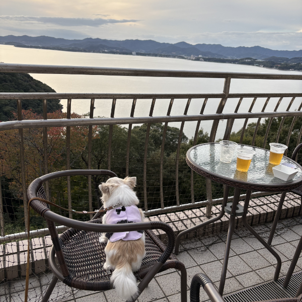 浜名湖を眺める　りく