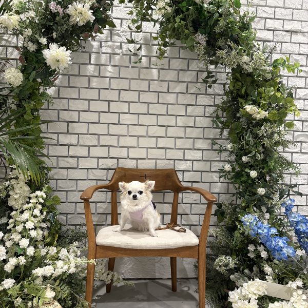 ホテルの撮影スポット