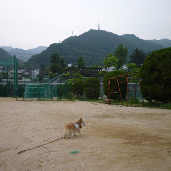 六甲山麓