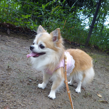 梅雨明け～